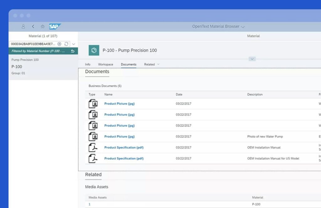 SAP Archiving and Document Access SAP Solution Extensions by OpenText